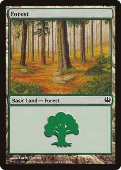 Forest