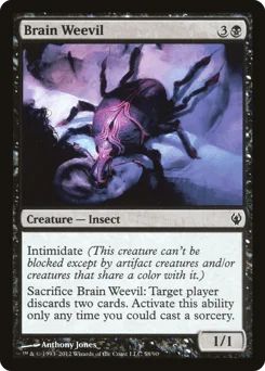 Brain Weevil