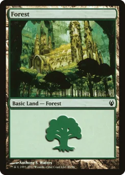 Forest