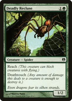 Deadly Recluse
