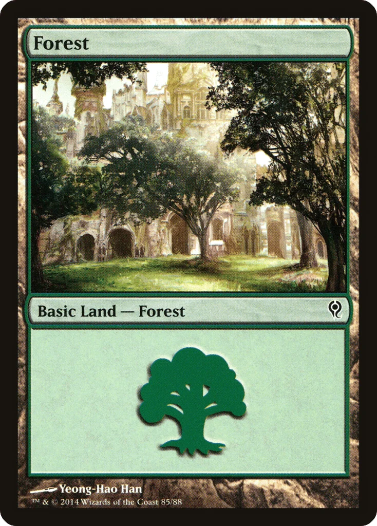 Forest · Duel Decks: Jace vs. Vraska