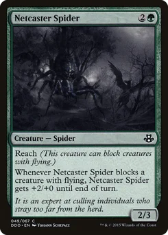 Netcaster Spider