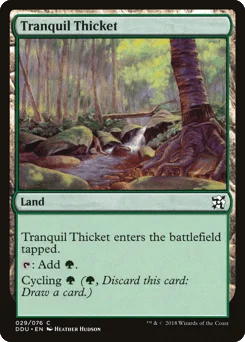 Tranquil Thicket