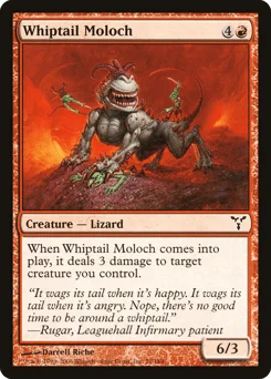 Whiptail Moloch