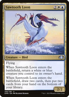 Sawtooth Loon