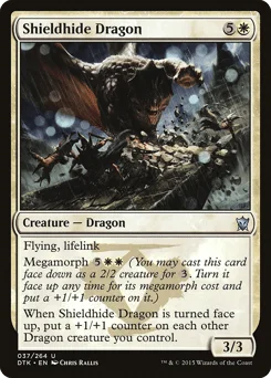 Shieldhide Dragon