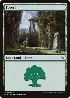 Forest
