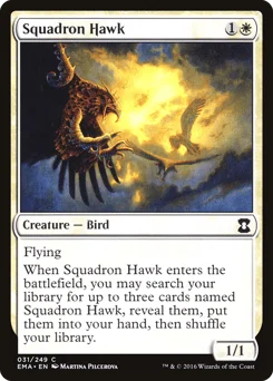 Squadron Hawk