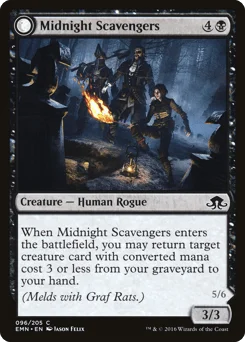 Midnight Scavengers // Chittering Host