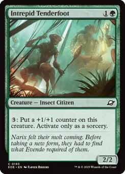 Intrepid Tenderfoot
