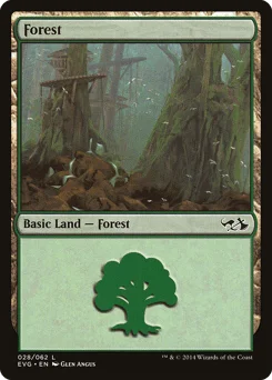 Forest