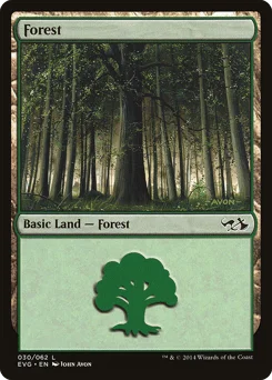 Forest