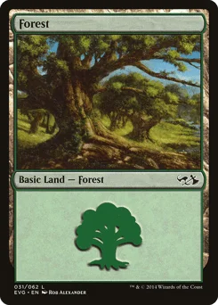 Forest