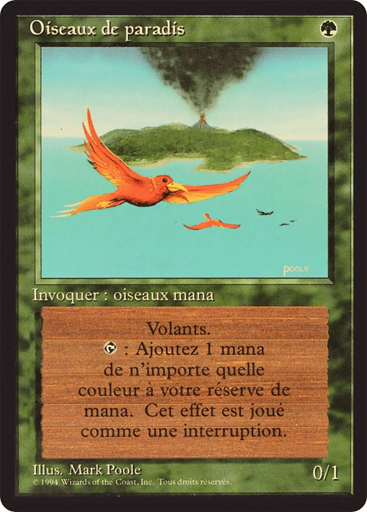 Birds of Paradise · Foreign Black Border