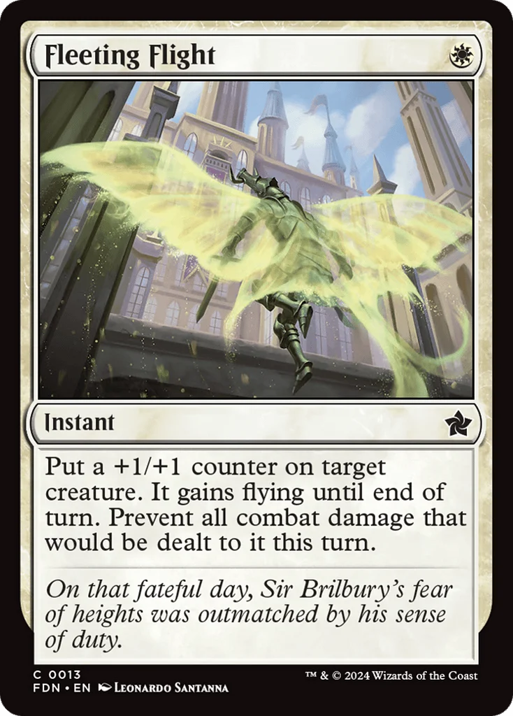 Fleeting Flight · Foundations