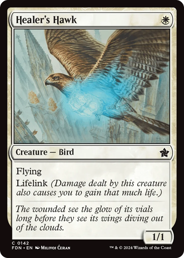 Healer's Hawk · Foundations