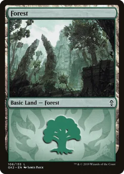 Forest