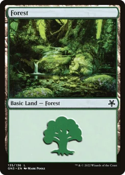 Forest
