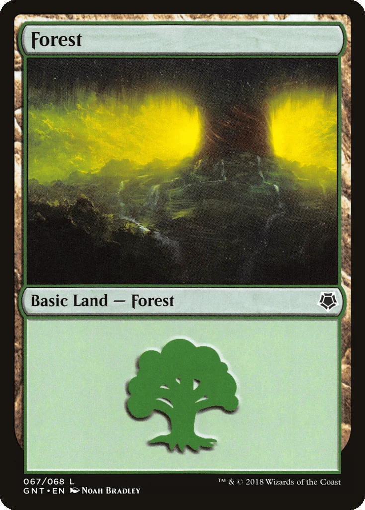 Forest · Game Night