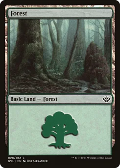 Forest