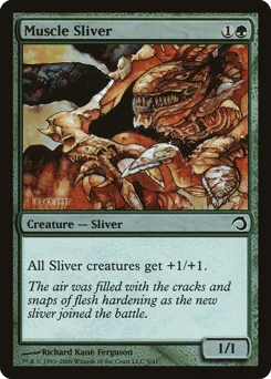 Muscle Sliver