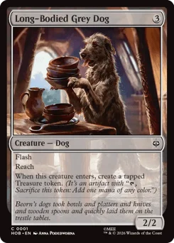 Long-Bodied Grey Dog