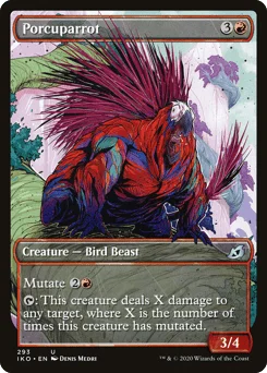 Porcuparrot