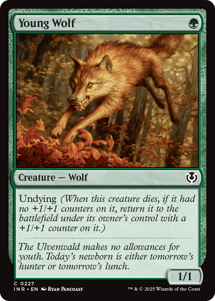 Young Wolf · Innistrad Remastered