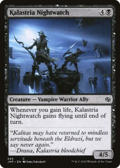 Kalastria Nightwatch