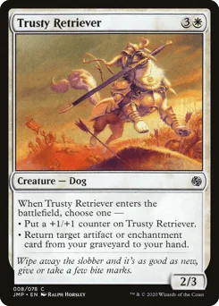 Trusty Retriever