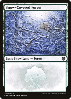 Snow-Covered Forest
