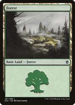 Forest