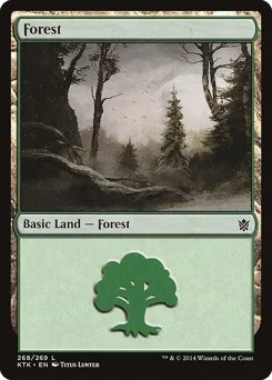 Forest