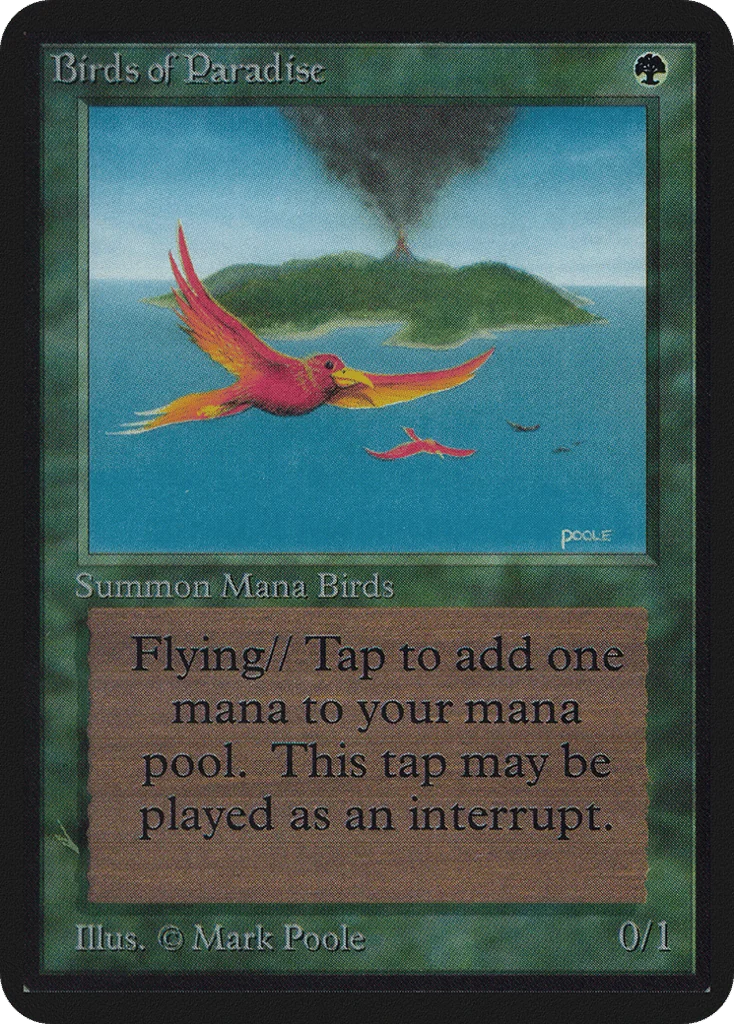 Birds of Paradise · Limited Edition Alpha