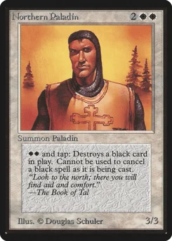 Northern Paladin