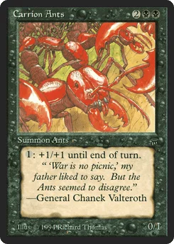 Carrion Ants