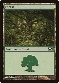 Forest