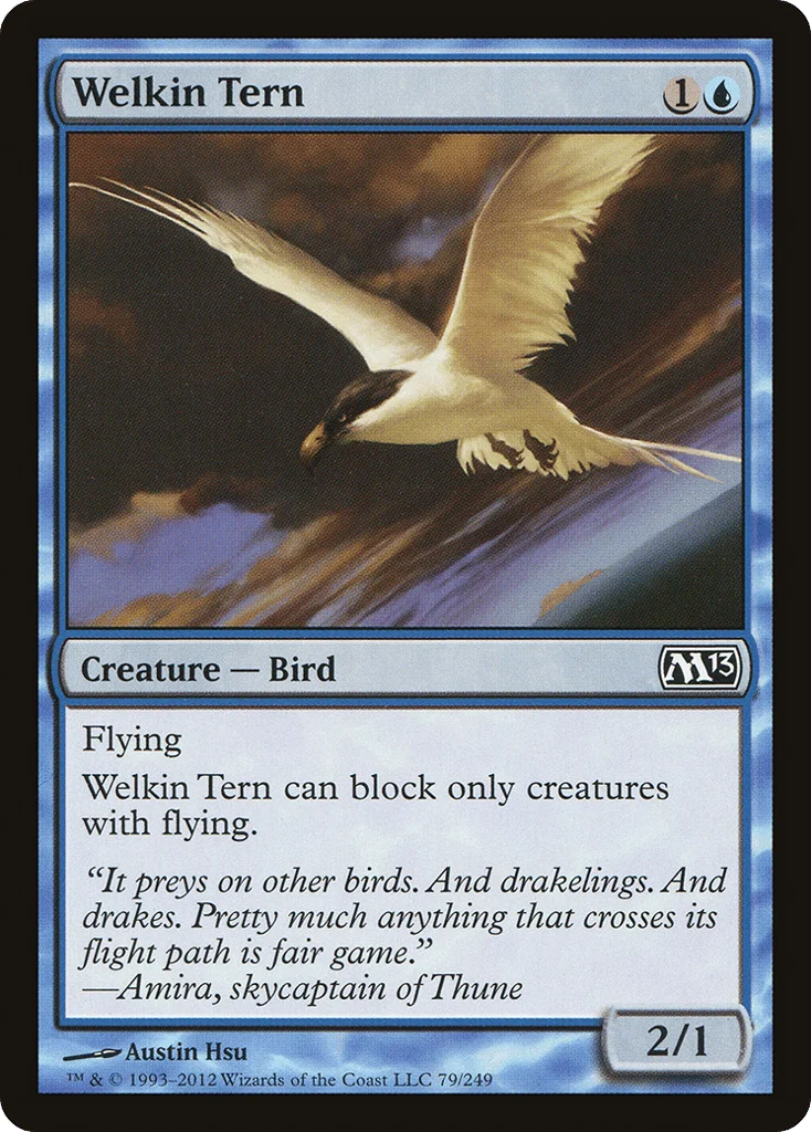 Welkin Tern · Magic 2013