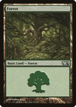 Forest