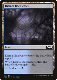 Dismal Backwater