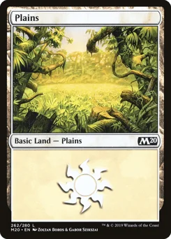 Plains