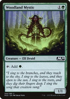 Woodland Mystic