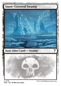 Snow-Covered Swamp