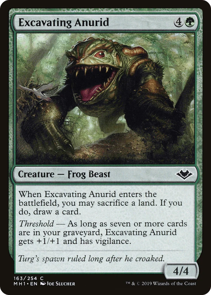 Excavating Anurid · Modern Horizons