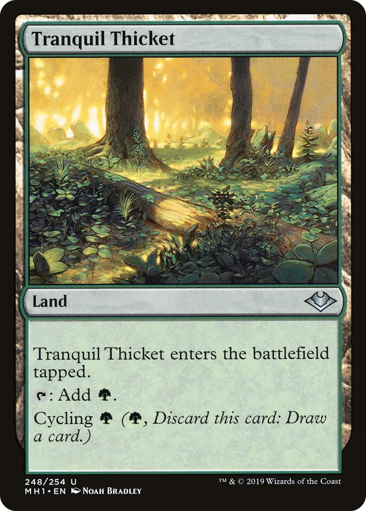 Tranquil Thicket · Modern Horizons