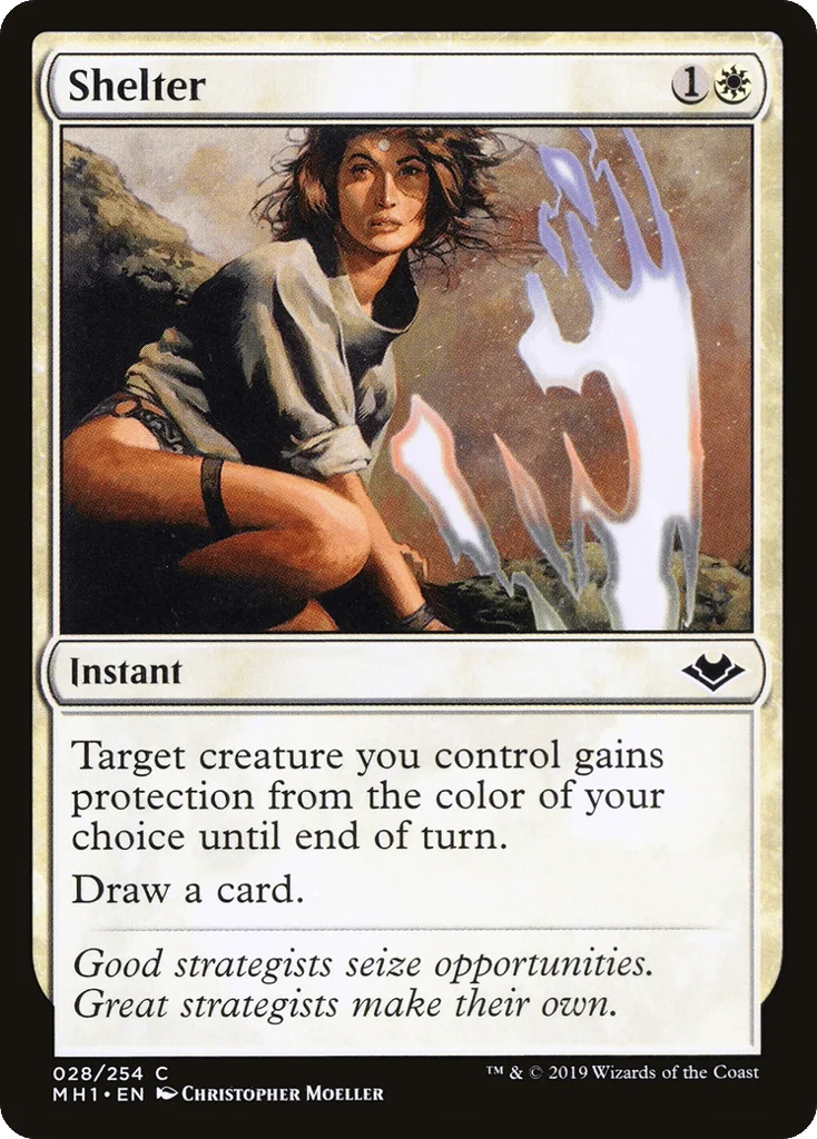 Shelter · Modern Horizons