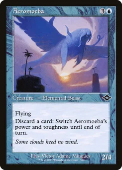 Aeromoeba