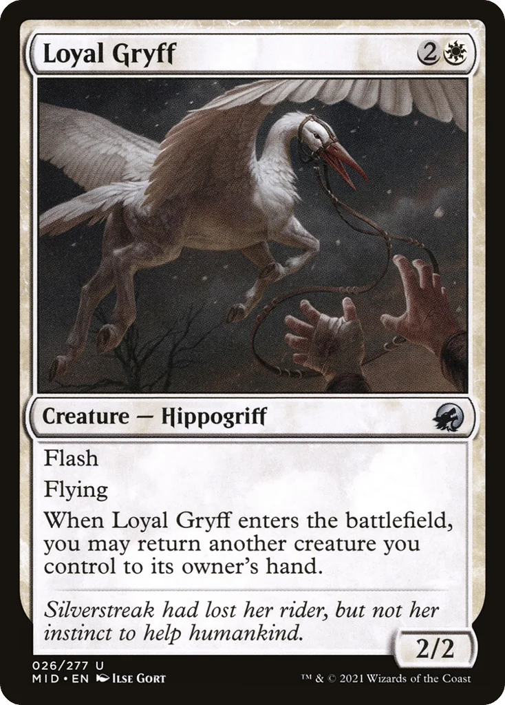Loyal Gryff · Innistrad: Midnight Hunt