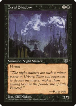 Feral Shadow