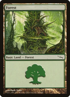 Forest